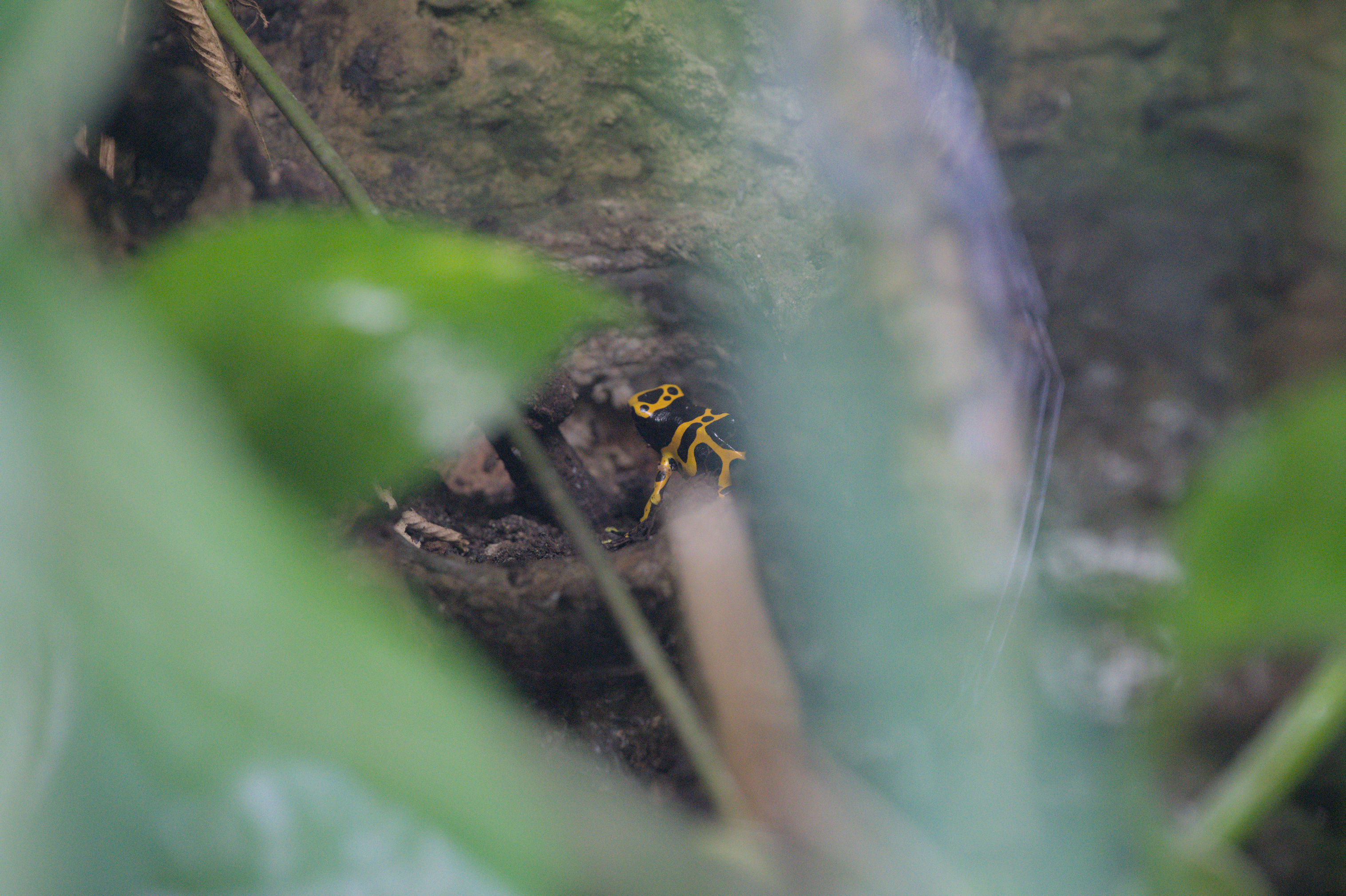 2025/10/12 - zoo/DSC_0164.jpg